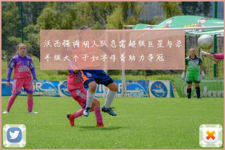 沃西强调湖人队急需超级巨星与杀手级大个子如字母哥助力争冠