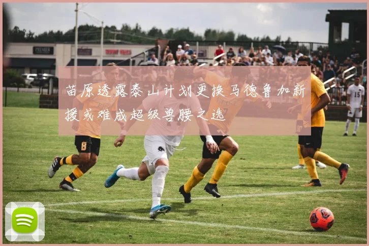 苗原透露泰山计划更换马德鲁加新援或难成超级兽腰之选